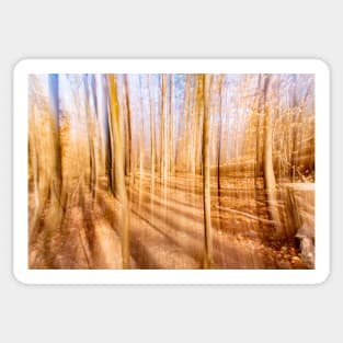 Blurred Forest Sticker